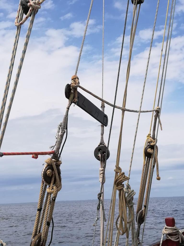 Leenan Head voilier locmariaquer morbihan promenade voilier vieux gréments morbihan promenade voilier journée