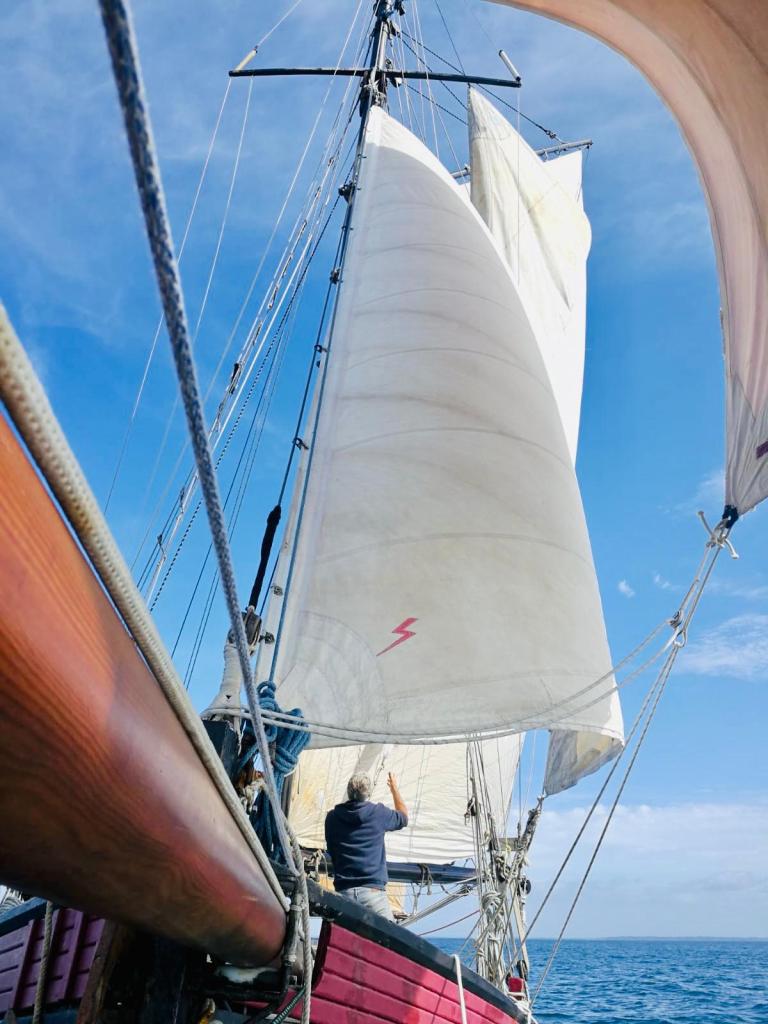Leenan Head voilier locmariaquer morbihan promenade voilier vieux gréments morbihan promenade voilier journée