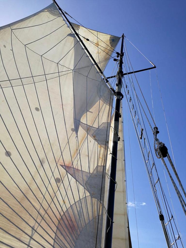 Leenan Head voilier locmariaquer morbihan promenade voilier vieux gréments morbihan promenade voilier journée